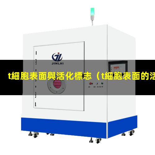 t細胞表面與活化標志