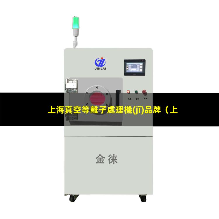 上海真空等離子處理機(jī)品牌