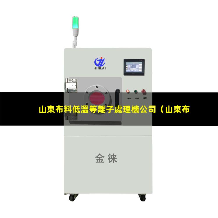 山東布料低溫等離子處理機公司